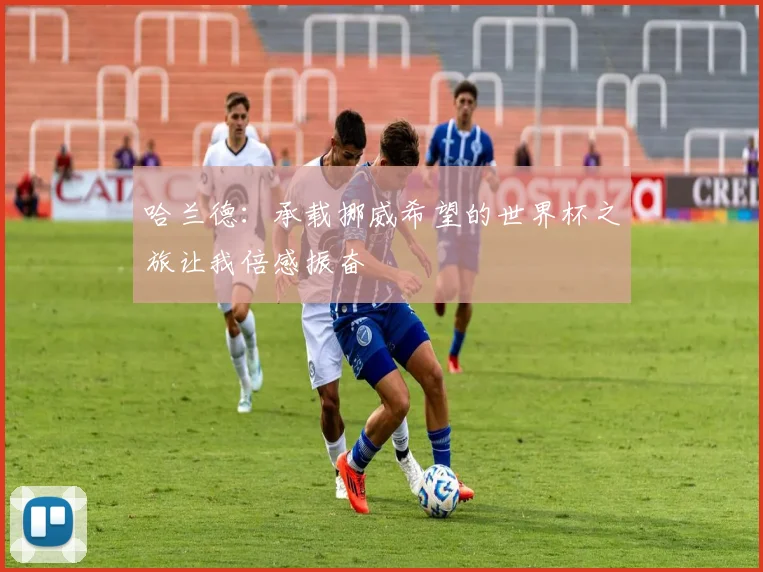 哈兰德：承载挪威希望的世界杯之旅让我倍感振奋